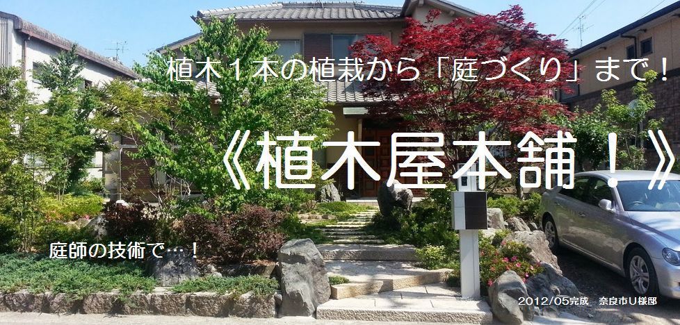 奈良県京都府大阪府の植木・庭木の手入れ（剪定）伐採・草刈・庭園維持管理・造園・庭づくりなら奈良市≪植木屋本舗≫の庭師に御任せ！奈良県、奈良市、生駒市、大和郡山市、木津川市、精華町、四条畷市